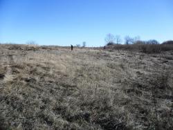 post-32197-0-04152700-1422699092_thumb.j