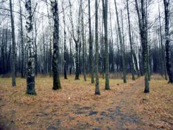 post-32197-0-05190400-1422000029_thumb.j