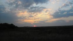 post-32197-0-05505600-1420635595_thumb.j