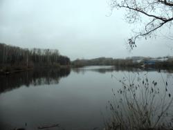 post-32197-0-06875300-1420817698_thumb.j