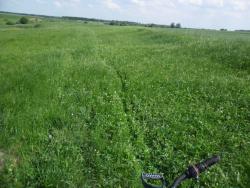 post-32197-0-07325600-1420635885_thumb.j