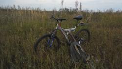 post-32197-0-07887200-1420636116_thumb.j