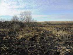 post-32197-0-13641900-1422699199_thumb.j