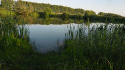 post-32197-0-19547600-1420636316_thumb.j