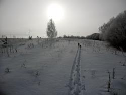 post-32197-0-21227900-1421930594_thumb.j