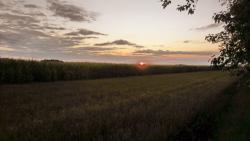 post-32197-0-24417400-1420208048_thumb.j