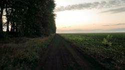 post-32197-0-29650800-1420635979_thumb.j