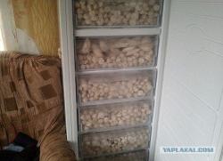 post-32197-0-34388400-1421816612_thumb.j