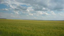 post-32197-0-35987300-1420900414_thumb.j