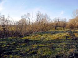 post-32197-0-41698300-1422000549_thumb.j