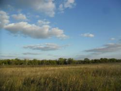 post-32197-0-44789900-1420830949_thumb.j