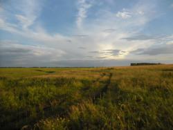 post-32197-0-45117200-1420900338_thumb.j