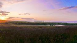 post-32197-0-57622000-1420207926_thumb.j