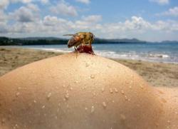 post-32197-0-72714800-1421595827_thumb.j