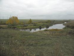 post-32197-0-73678000-1420821605_thumb.j