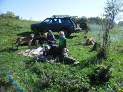 post-32197-0-73960900-1420829592_thumb.j