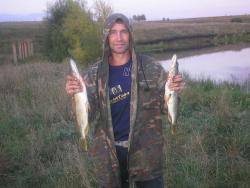 post-32197-0-81384300-1422111847_thumb.j