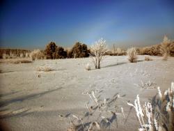 post-32197-0-81691900-1421930637_thumb.j