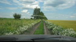 post-32197-0-85635900-1420900433_thumb.j