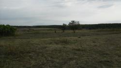 post-32197-0-89554600-1420636065_thumb.j