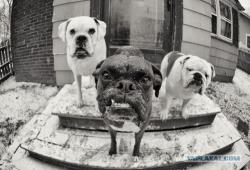 post-32197-0-97065900-1421850426_thumb.j