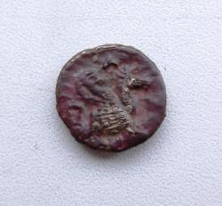 post-32294-0-87817400-1420452308_thumb.j