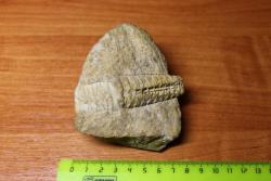 post-32849-0-14634200-1420734078_thumb.j