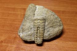 post-32849-0-62996600-1420734083_thumb.j