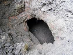 post-32874-0-14869600-1422561107_thumb.j