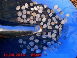 post-32874-0-27766000-1421112602_thumb.j