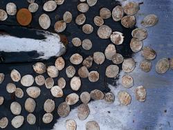 post-32874-0-31881300-1421112499_thumb.j