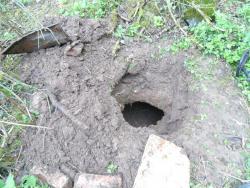 post-32874-0-71626400-1422561124_thumb.j