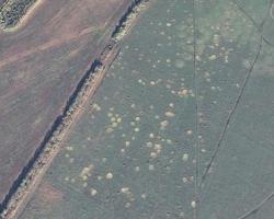 post-32990-0-59747100-1421362431_thumb.j