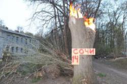 post-33028-0-90858800-1421864131_thumb.j