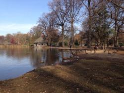 post-33129-0-39487000-1422389205_thumb.j