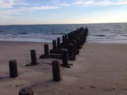 post-33129-0-44752400-1422389051_thumb.j