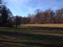 post-33129-0-62530600-1422386055_thumb.j