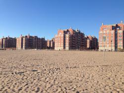 post-33129-0-73928200-1422389077_thumb.j