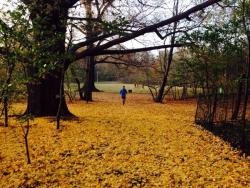 post-33129-0-76680000-1422389658_thumb.j