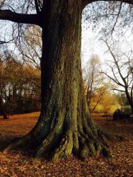 post-33129-0-81143800-1422389668_thumb.j