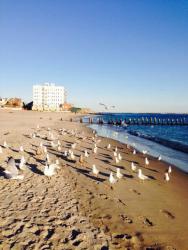 post-33129-0-97915000-1422389069_thumb.j