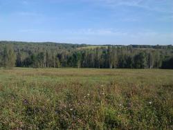 post-4119-0-53364900-1422643682_thumb.jp