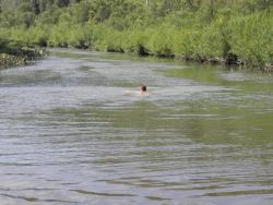 post-4119-0-58660300-1422643686_thumb.jp