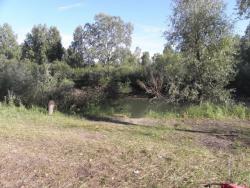 post-4119-0-74671700-1422643690_thumb.jp