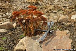 post-4485-0-19343600-1420484851_thumb.jp