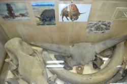 post-4485-0-33081400-1422205694_thumb.jp