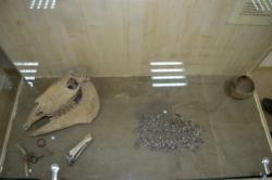 post-4485-0-34836900-1422204928_thumb.jp