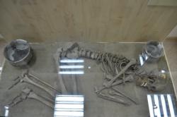 post-4485-0-59592900-1422205934_thumb.jp