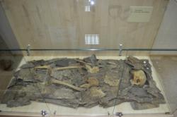 post-4485-0-79662500-1422205138_thumb.jp