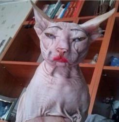 post-4485-0-98514800-1420747041_thumb.jp